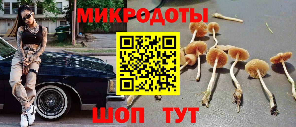 Луховицы  Псилоцибиновые грибы Magic Shrooms  Вход с VPN  Галлюциногенные грибы Magic Shrooms 